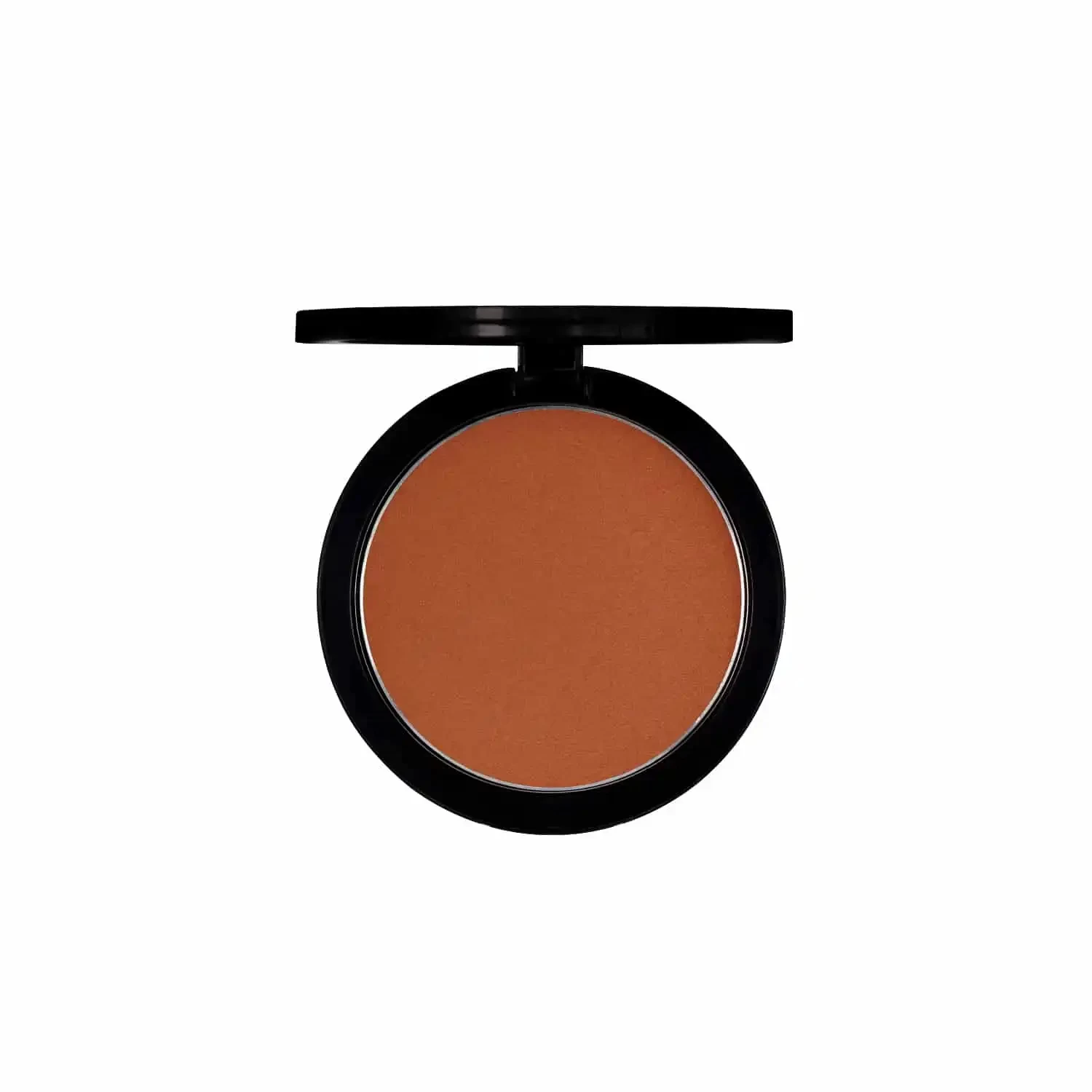 PAC Studio Powder Blusher - 24