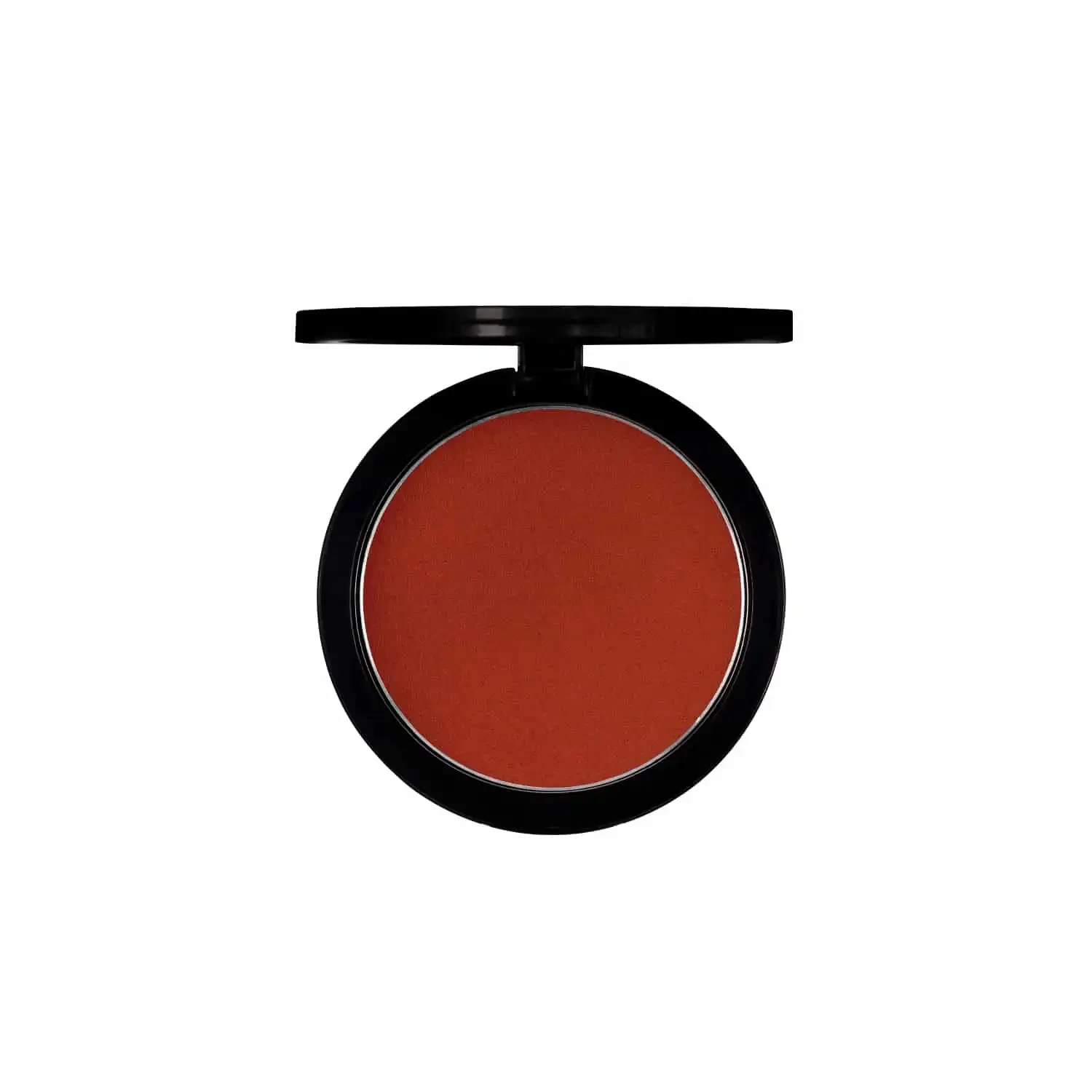 PAC Studio Powder Blusher - 01