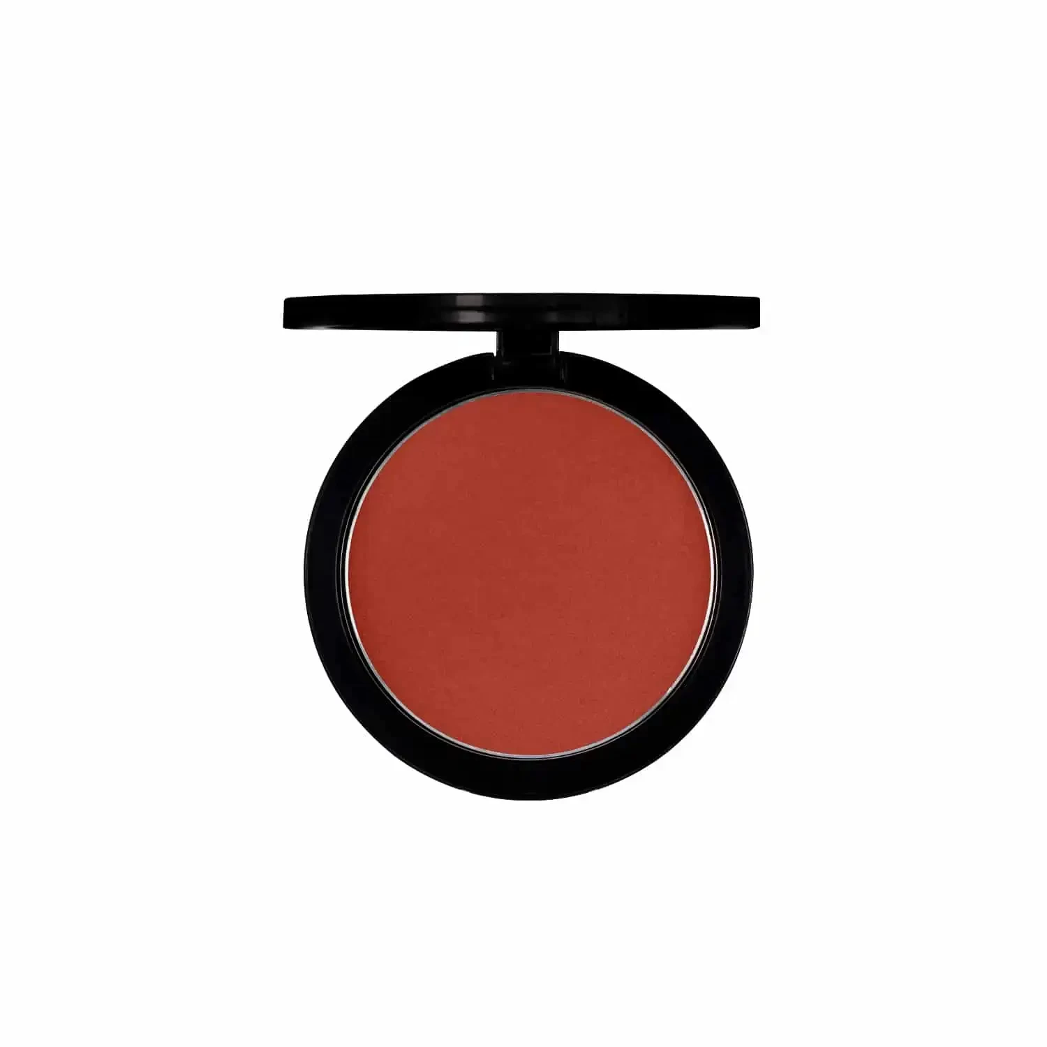 PAC Studio Powder Blusher - 09