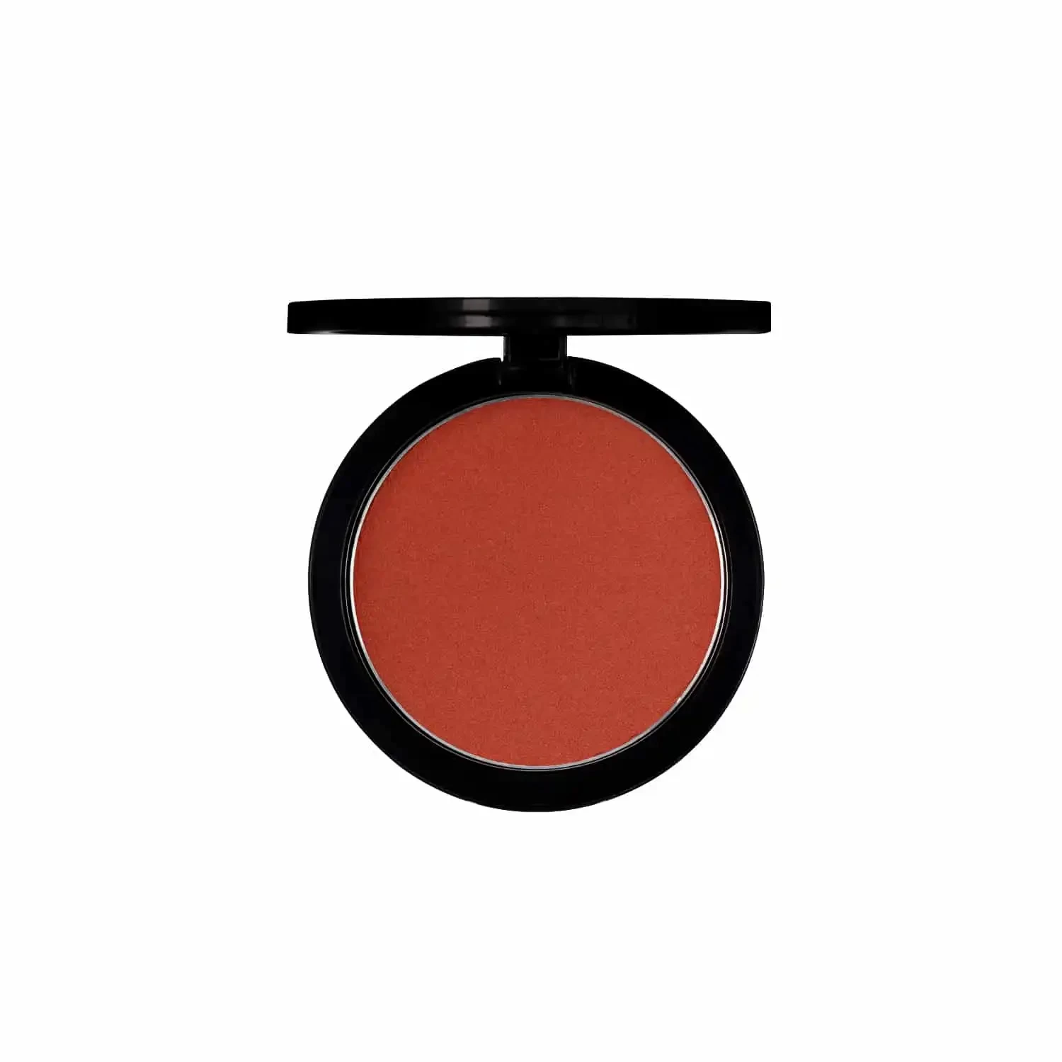 PAC Studio Powder Blusher - 15