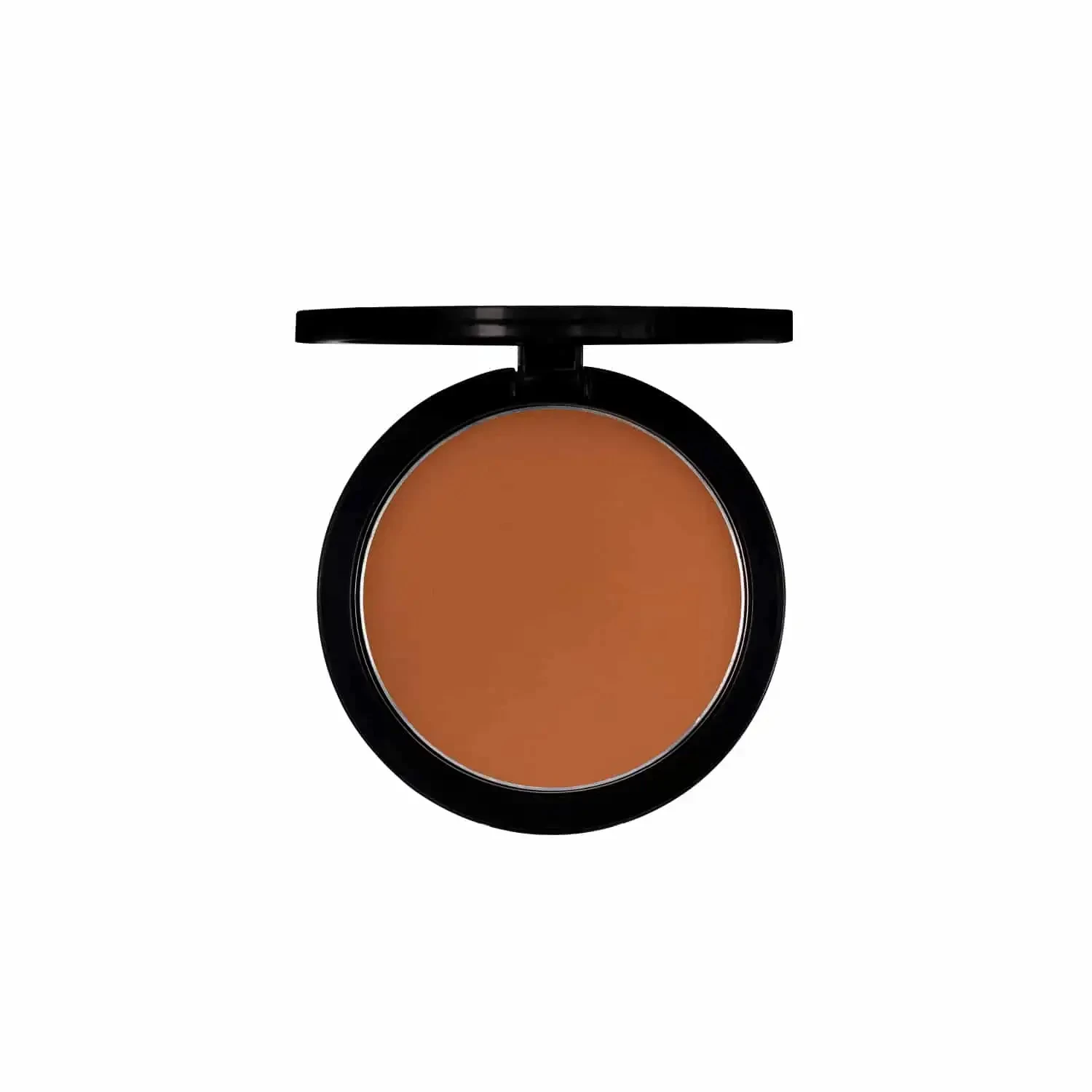 PAC Studio Powder Blusher - 02