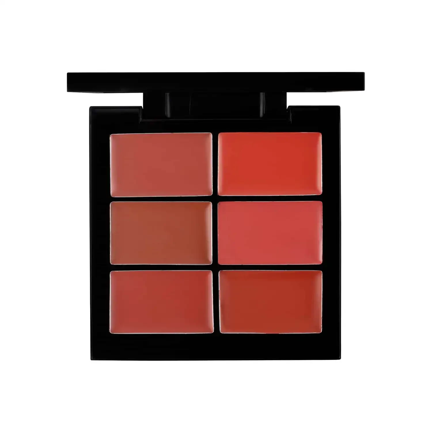 PAC Lip Palette X6 02 Nude